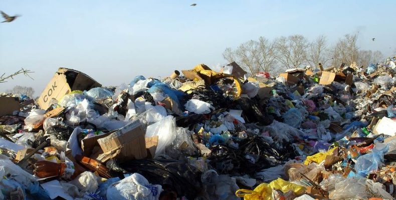 Чехи готовы построить мусороперерабатывающий завод в Бердске