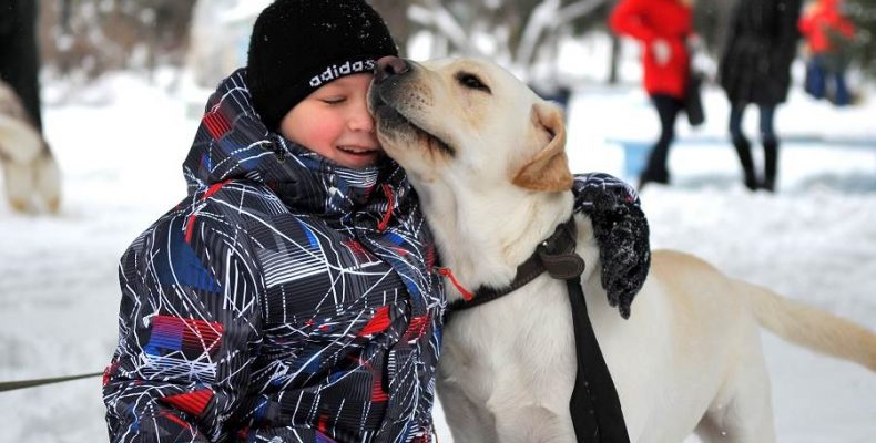 Благотворительная фотосессия «Зимнее сердце» в помощь животным прошла в Новосибирске