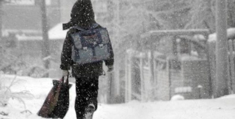 Отправлять ли ребёнка в школу в сильный мороз, в Бердске решают родители