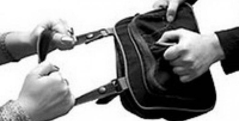 Полиция разыскивает грабителя, выхватившего сумочку у бердчанки