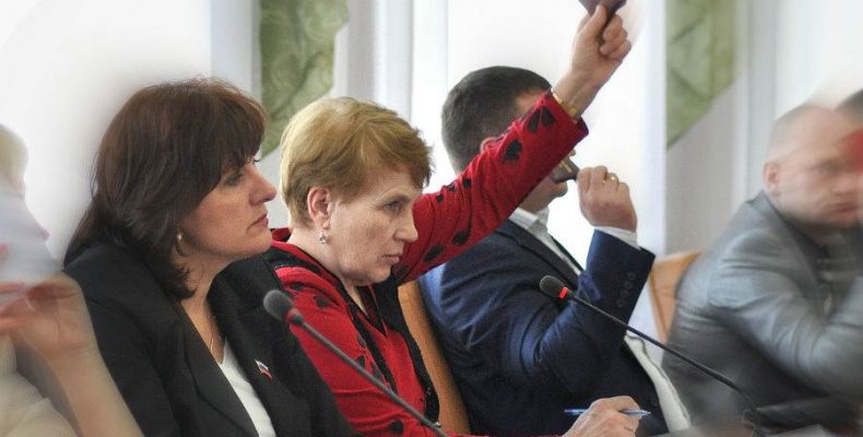 Депутат Нина Железняк испытывает гордость и обиду за Бердск