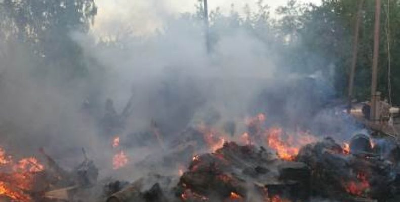 В Новосибирской области 134 действующих пожара: палы приближаются к населенным пунктам