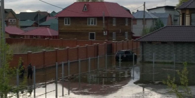 ЧС в Новосибирской области: паводком на Оби захвачены уже 4 000 дачных участков