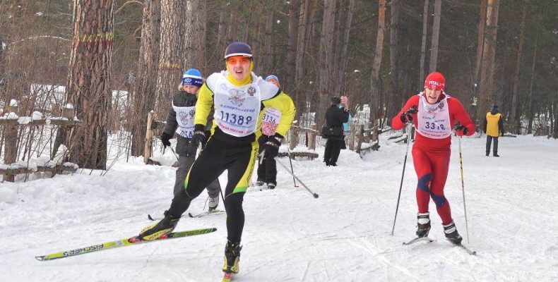 Снегоход сбил лыжника в лесу Бердска