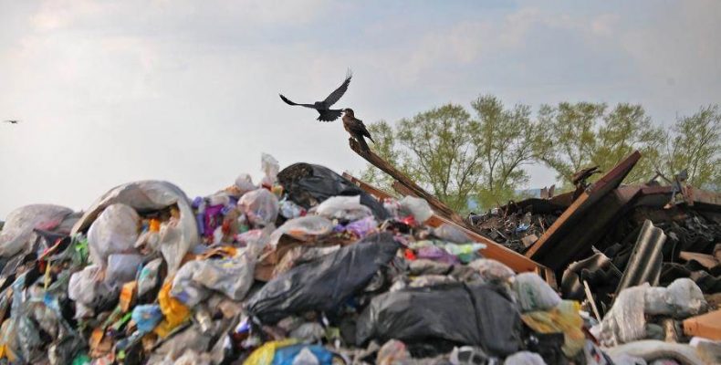 Снизили тариф на вывоз мусора в Бердске
