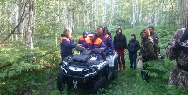 Спасатели временно прекратили поиски пропавшего в новосибирском лесу охотника