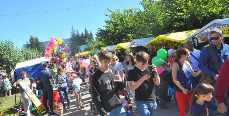 Мэр Бердска недоволен организацией уличной торговли на День города
