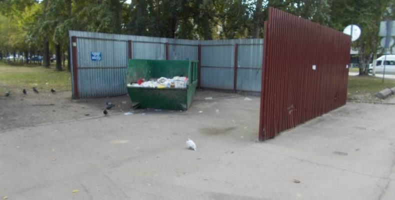 Мэр Бердска считает, что мусорки не украшают парк