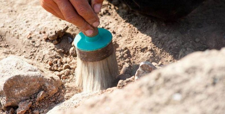 Древнюю погремушку и непонятные предметы нашли археологи под посёлком Венгерово
