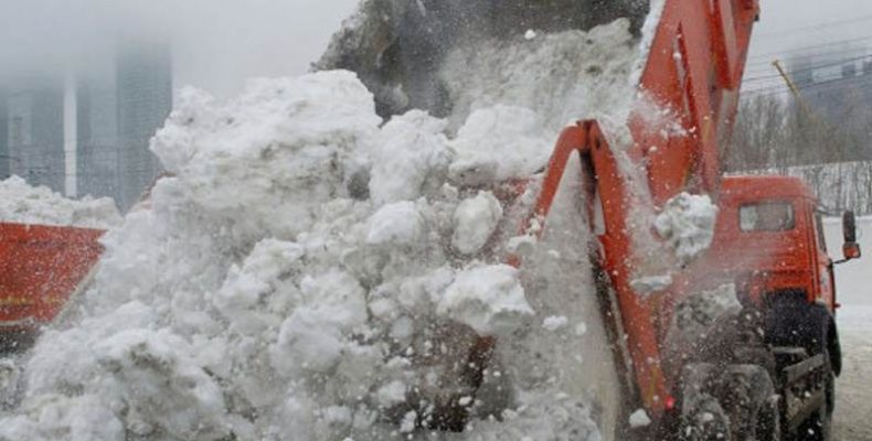 ТСЖ заплатит за ремонт пострадавшего от снега автомобиля бердчанки