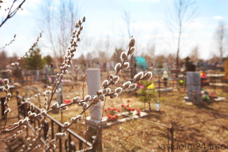 Дополнительные маршруты общественного транспорта к кладбищу Бердска будут организованы в день Троицы