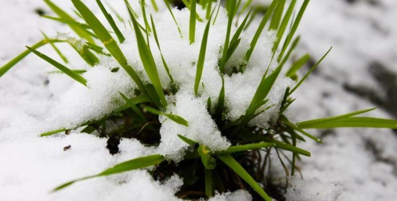 Мокрый снег, дождь и гололед ожидаются в ближайшие сутки в Бердске