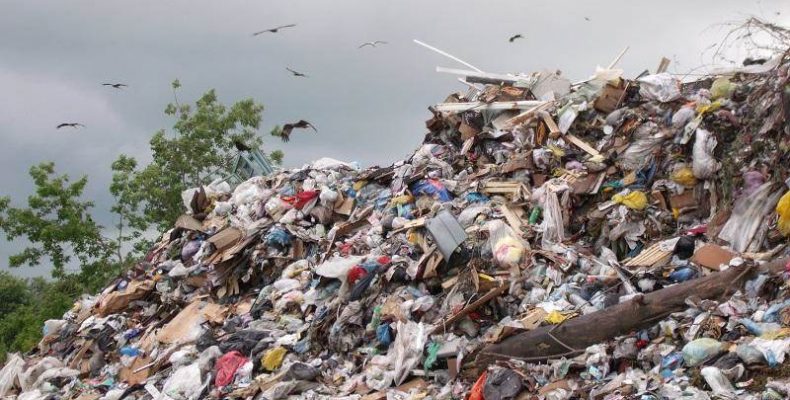 Как решают мусорную проблему в Бердске?