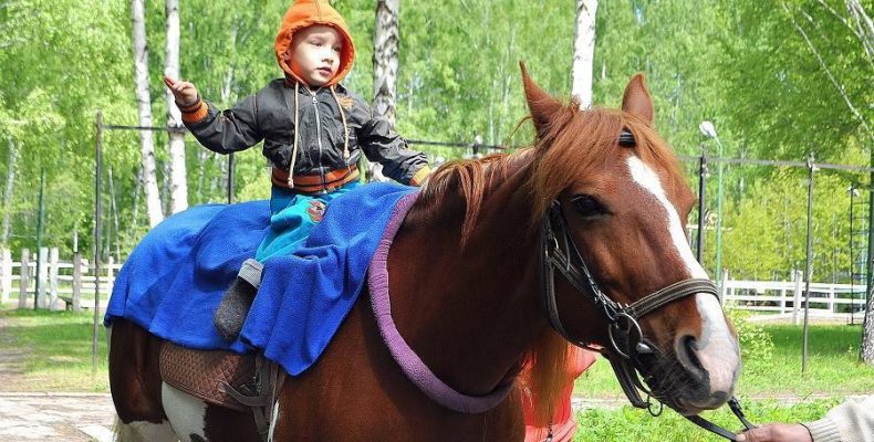 Лучшие эксперты России по иппотерапии и адаптивному конному спорту соберутся в Бердске