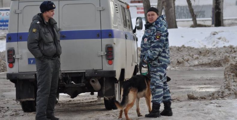 Шесть преступлений за восемь дней нового года зарегистрированы в Бердске
