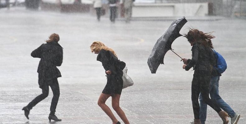 МЧС предупредило бердчан о шквалистом ветре с грозами, градом и ливнем