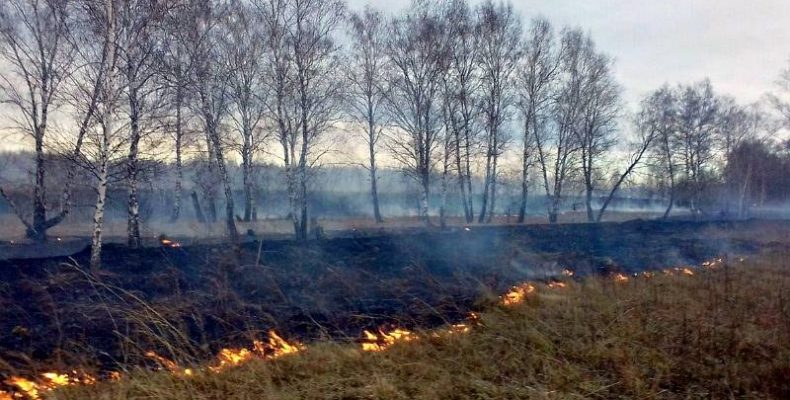 В Бердске дачник устроил ландшафтный пожар