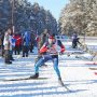«Лыжня России» пройдет в Бердске 11 февраля