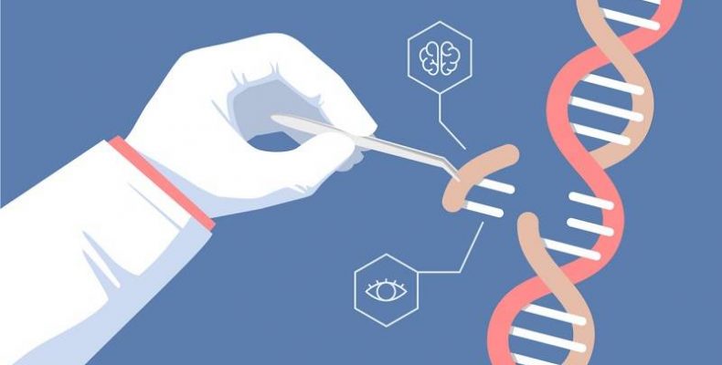 Редактирование генома: можно ли излечить человека от самых страшных болезней?