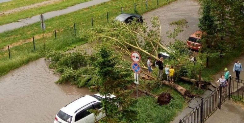 15-минутный шторм отметился в Бердске падением деревьев и затоплением городских дорог