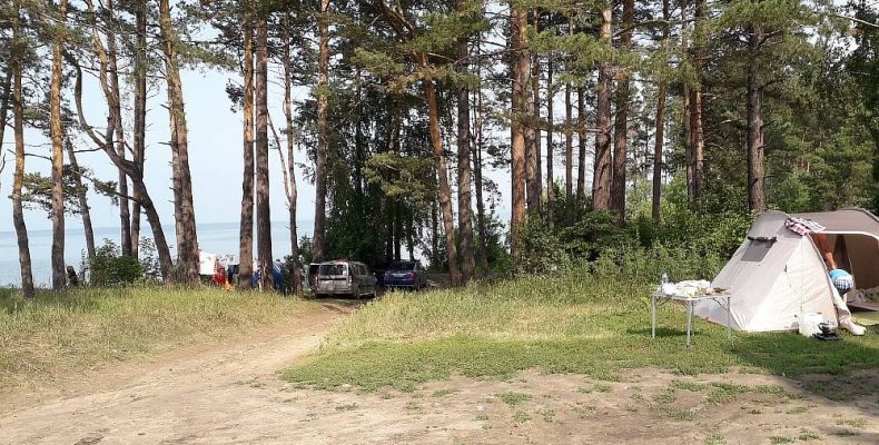 В лесу около пляжа «Чайка» в Бердске произошло изнасилование несовершеннолетней