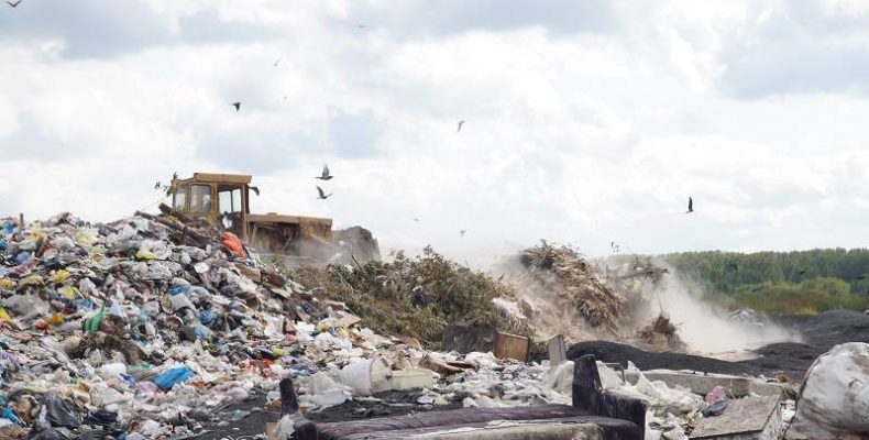Возобновить строительство мусорного полигона под Бердском могут не ранее третьего квартала 2021 года