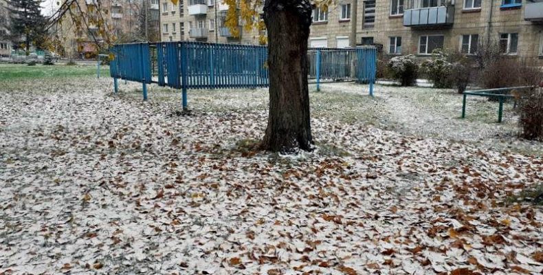 Первый снег выпал в Бердске