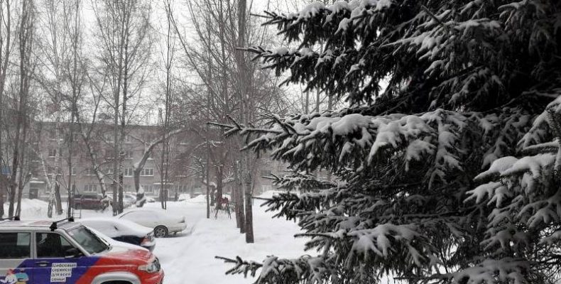 Лёгким морозцем отметится предновогодняя неделя в Бердске