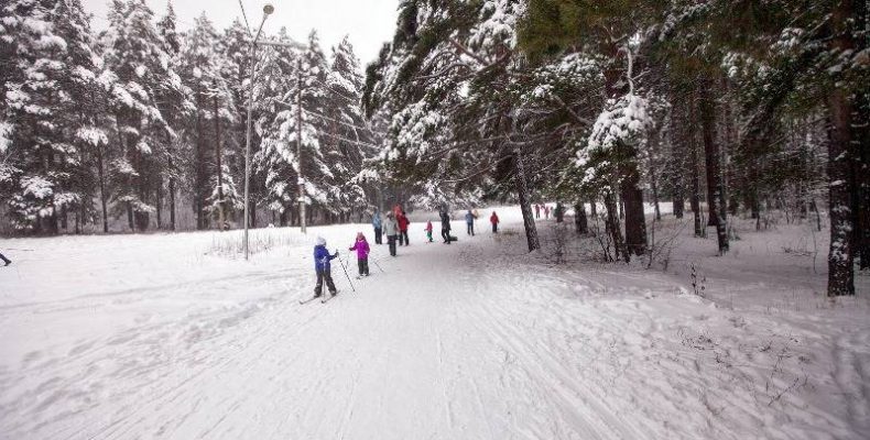 Лыжникам негде тренироваться в спортивном Бердске