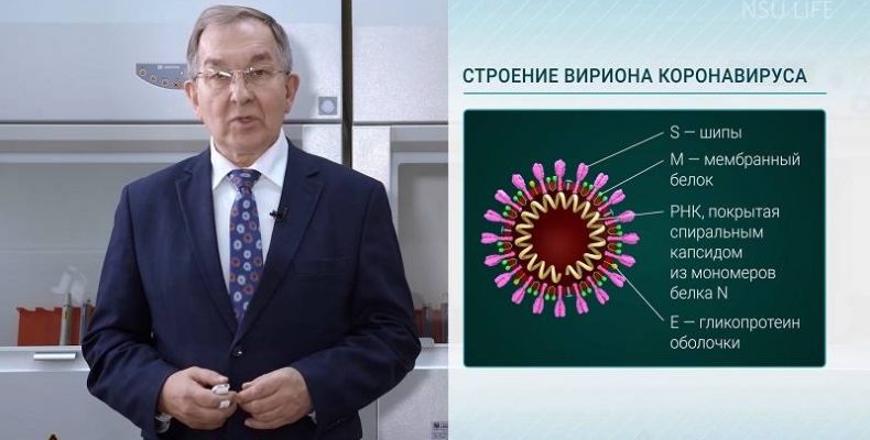 О новых данных по коронавирусу в мире рассказал новосибирский вирусолог