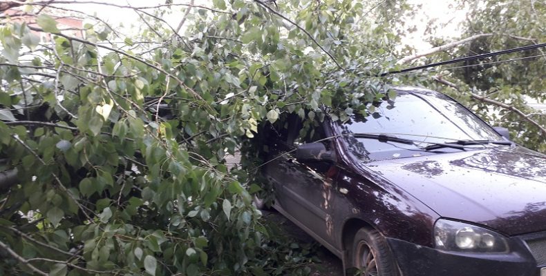 Ураган в Бердске: первый удар обошёлся без пострадавших
