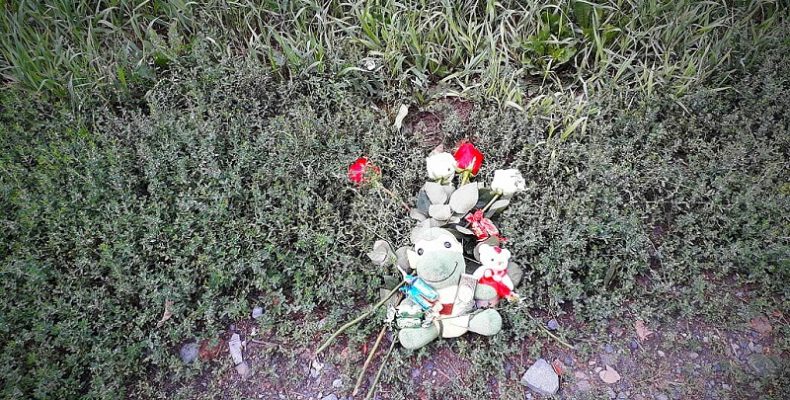 На месте гибели девушки под колёсами КамАЗа в Бердске организовали мини-мемориал