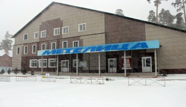 Вырубка сосен на лыжной базе «Метелица» в Бердске закончилась