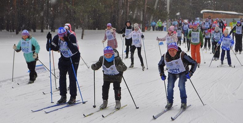 Преодолели лыжню почти тысяча человек в лесу Бердска