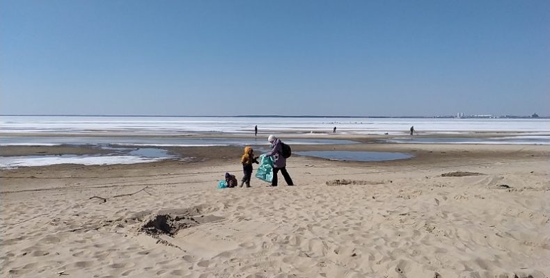 Собирали мусор волонтёры на пляжах Бердска