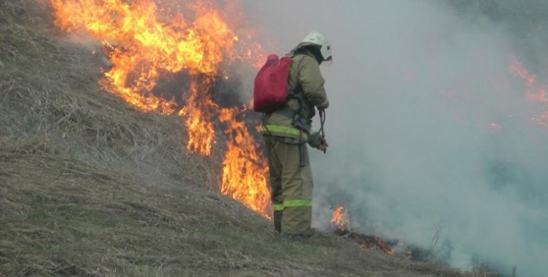 Девять «травяных» пожаров произошли в Бердске на минувшей неделе