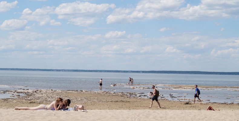 Заполняют декларации для открытия владельцы пляжей в Бердске