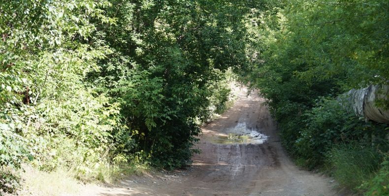 Опасная дорога: как объехать пробки на трассе между Академгородком и Бердском