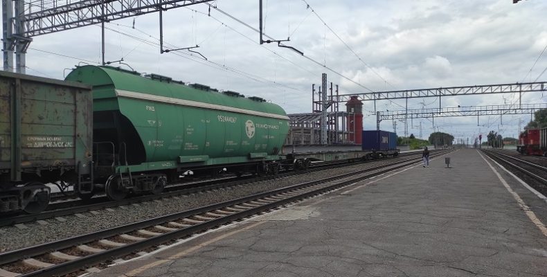Транспортные полицейские расследуют трагедии на железной дороге в Бердске и на станции «Совхоз бердский»