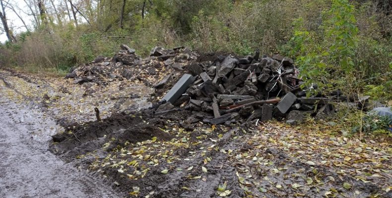 Жители микрорайона Южный возмущены грудой мусора на улице Пионерской в Бердске