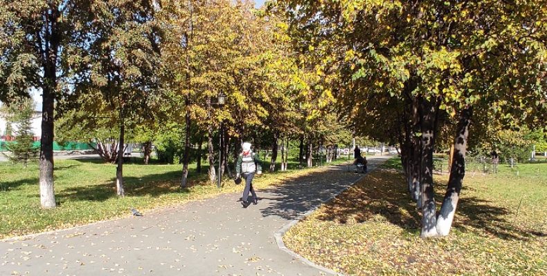 Масштабная акция по высадке деревьев стартовала в городском парке Бердска