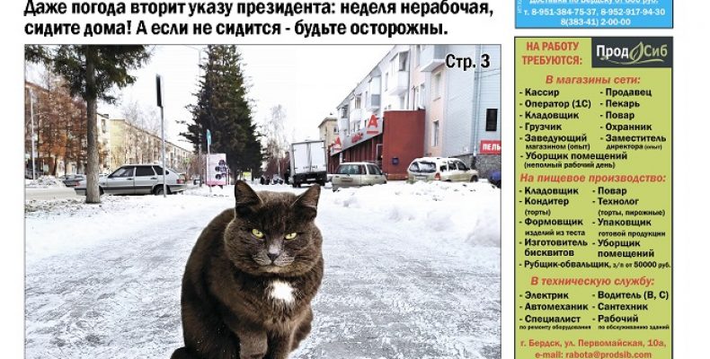 Новый номер «Свидетеля»: зима в Бердске