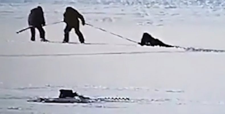 Провалившегося под лёд Бердского залива рыбака спасли Вадик и Вовчик