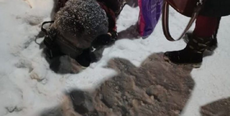 25 минут лежала в снегу на обочине в ожидании «скорой» женщина в Бердске