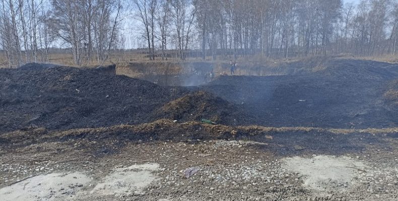 С крупным травяным пожаром справились жители микрорайона Раздольный в Бердске