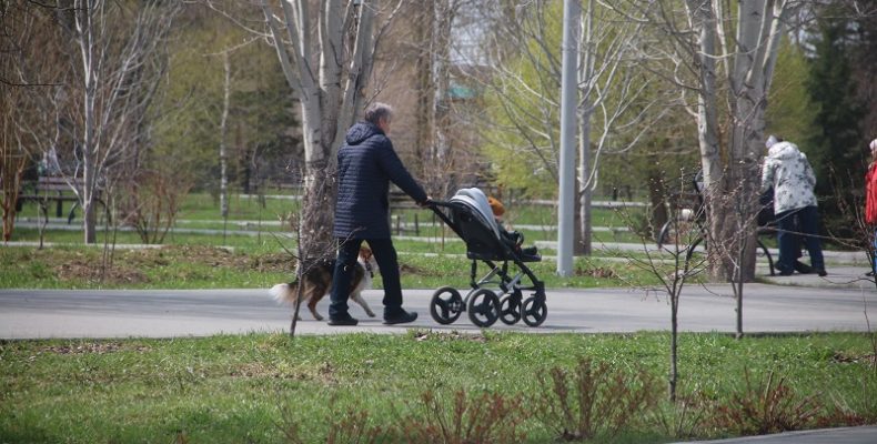 О запрете выгула собак в городском парке напомнила мэрия Бердска