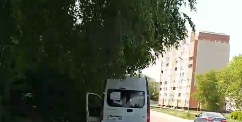 «Какашки и бумажки»: видеоблогер показал «отстойное» место в Бердске