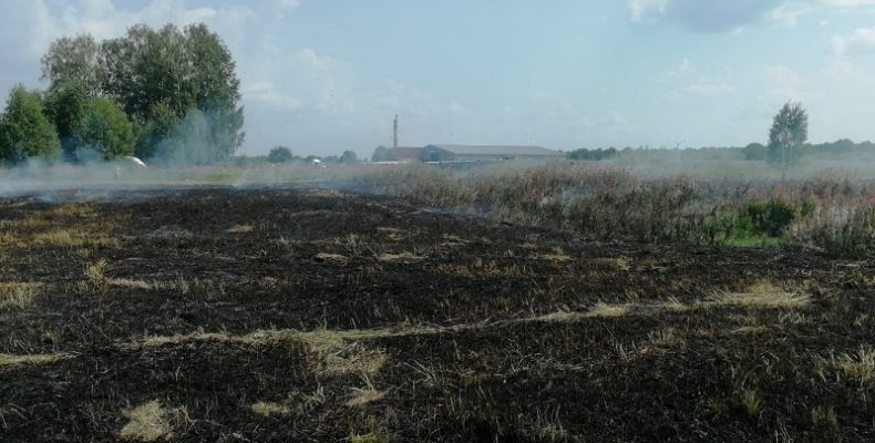 Два пожара произошли за выходные дни в Бердске