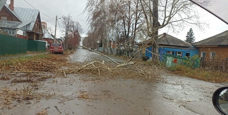 Вырывающий с корнями деревья ветер надвигается на Бердск