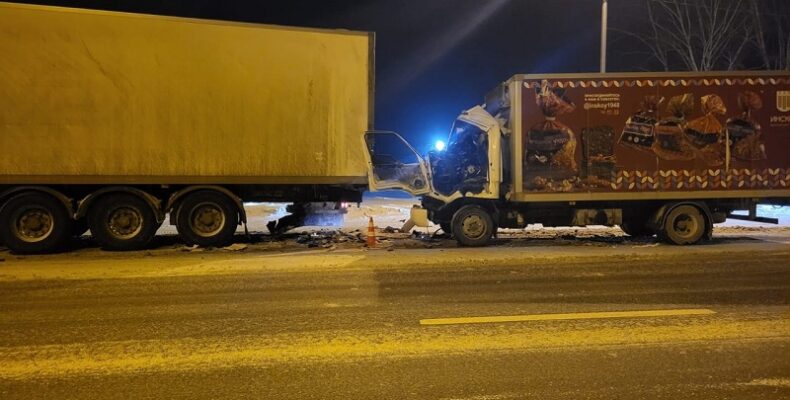 Врезался в прицеп тягача на трассе в Бердске и попал в реанимацию 54-летний водитель грузового «Hyundai VT»